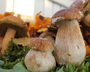 Similar image 1429518