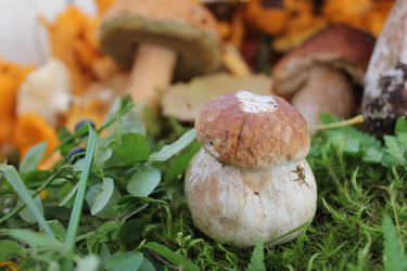 Similar image 1429520