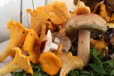 Similar image 1429521