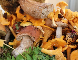 Similar image 1429522