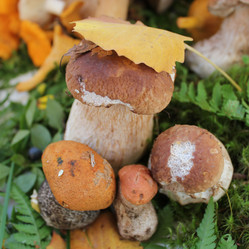 Similar image 1429524