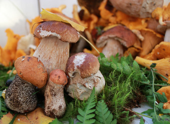 Similar image 1429525