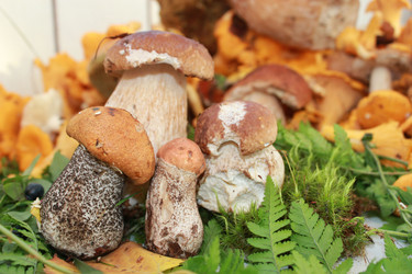 Similar image 1429526