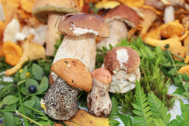 Similar image 1429527