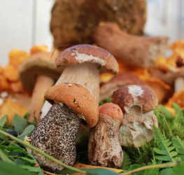 Similar image 1429528