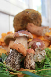 Similar image 1429529