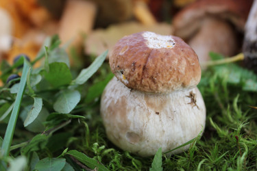 Similar image 1429530