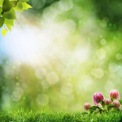 Similar image 1429533