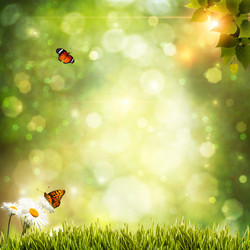 Similar image 1429544