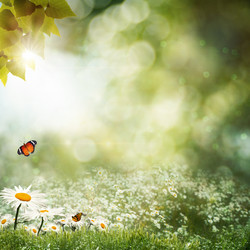 Similar image 1429549