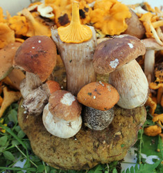 Similar image 1429563