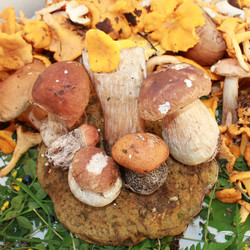 Similar image 1429564