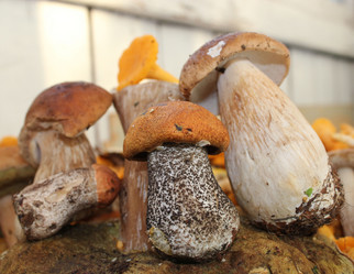 Similar image 1429565