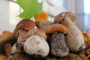 Similar image 1429566