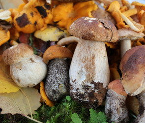 Similar image 1429567