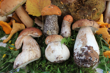 Similar image 1429568