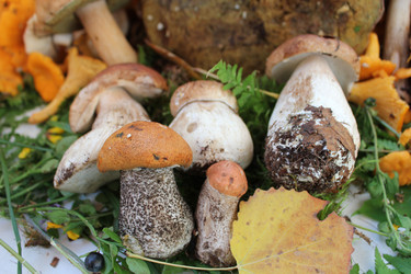 Similar image 1429569