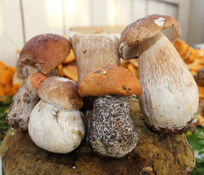 Similar image 1429570