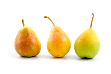 Similar image 1429592