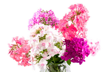 Similar image 1429593