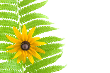 Similar image 1429598