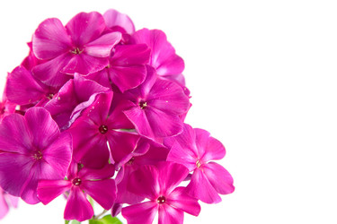 Similar image 1429601