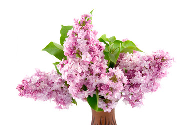 Similar image 1429604