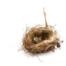 Similar image 1429606