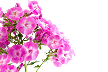 Similar image 1429609