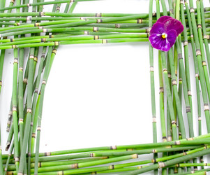 Similar image 1429610