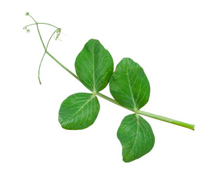 Similar image 1429616