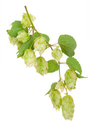 Similar image 1429618