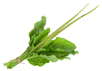 Similar image 1429619