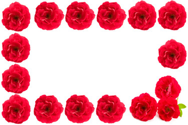 Similar image 1429633