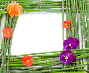 Similar image 1429637