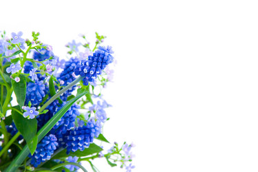 Similar image 1429640