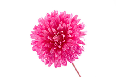 Similar image 1429643