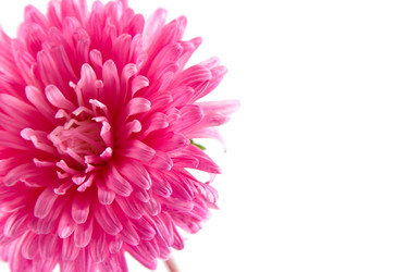 Similar image 1429649