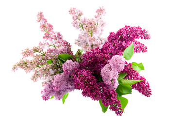 Similar image 1429650