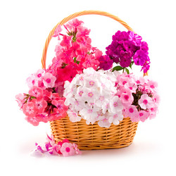 Similar image 1429655