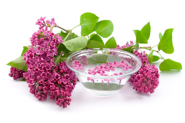 Similar image 1429658