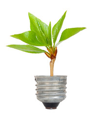 Similar image 1429666