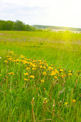 Similar image 1429667