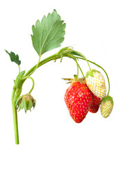 Similar image 1429670