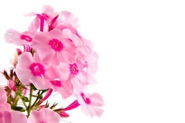 Similar image 1429673