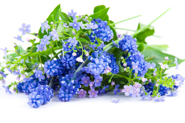 Similar image 1429682