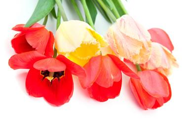 Similar image 1429683