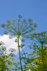 Similar image 1429685