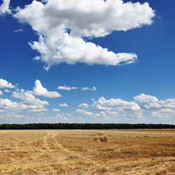 Similar image 1429697