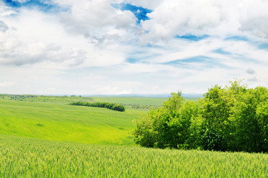 Similar image 1429700